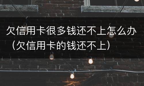 欠信用卡很多钱还不上怎么办（欠信用卡的钱还不上）
