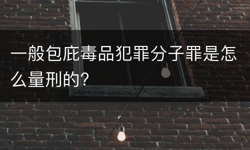 一般包庇毒品犯罪分子罪是怎么量刑的?