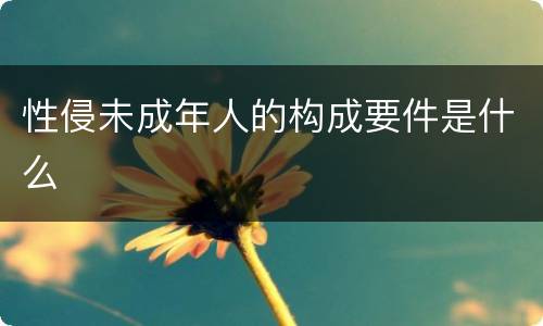 性侵未成年人的构成要件是什么