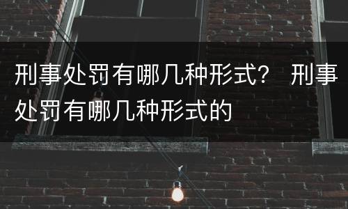 刑事处罚有哪几种形式？ 刑事处罚有哪几种形式的