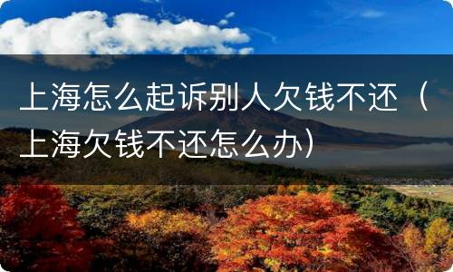 上海怎么起诉别人欠钱不还（上海欠钱不还怎么办）