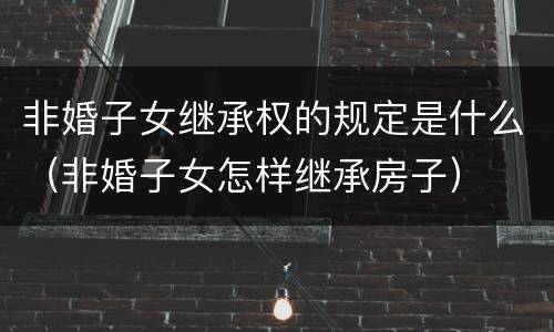 非婚子女继承权的规定是什么（非婚子女怎样继承房子）