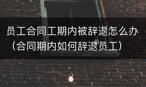 员工合同工期内被辞退怎么办（合同期内如何辞退员工）