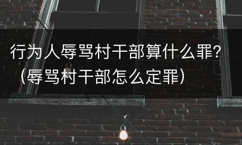 行为人辱骂村干部算什么罪？（辱骂村干部怎么定罪）