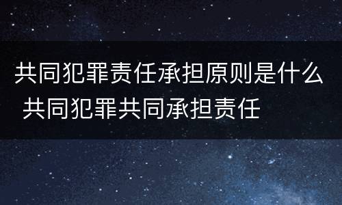 共同犯罪责任承担原则是什么 共同犯罪共同承担责任