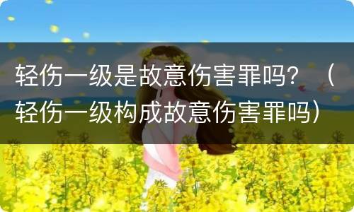 轻伤一级是故意伤害罪吗？（轻伤一级构成故意伤害罪吗）