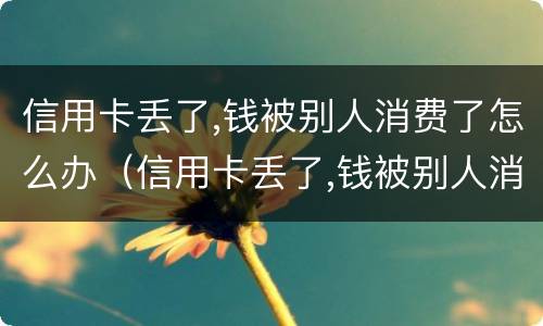 信用卡丢了,钱被别人消费了怎么办（信用卡丢了,钱被别人消费了怎么办理）