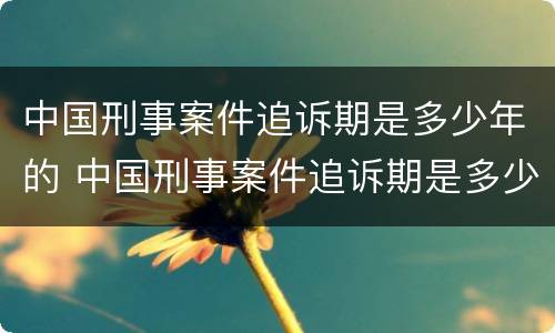 中国刑事案件追诉期是多少年的 中国刑事案件追诉期是多少年的规定