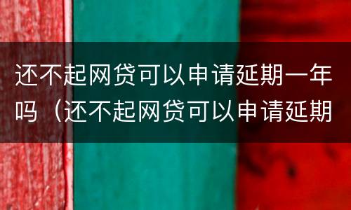 还不起网贷可以申请延期一年吗（还不起网贷可以申请延期一年吗贴吧）