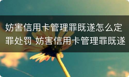 妨害信用卡管理罪既遂怎么定罪处罚 妨害信用卡管理罪既遂怎么定罪处罚依据