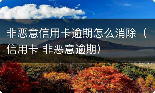 非恶意信用卡逾期怎么消除（信用卡 非恶意逾期）