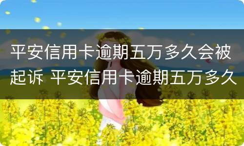 平安信用卡逾期五万多久会被起诉 平安信用卡逾期五万多久会被起诉成功