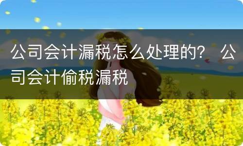公司会计漏税怎么处理的？ 公司会计偷税漏税
