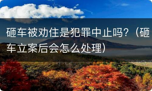 砸车被劝住是犯罪中止吗?（砸车立案后会怎么处理）