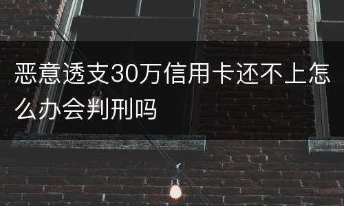 恶意透支30万信用卡还不上怎么办会判刑吗