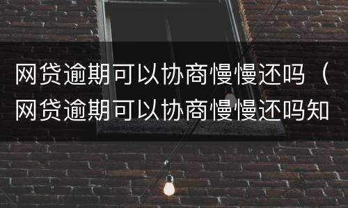 网贷逾期可以协商慢慢还吗（网贷逾期可以协商慢慢还吗知乎）