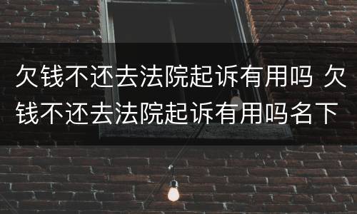 欠钱不还去法院起诉有用吗 欠钱不还去法院起诉有用吗名下什么都没有