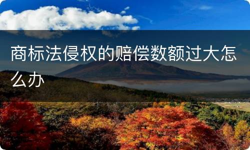 商标法侵权的赔偿数额过大怎么办