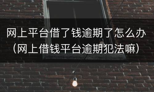 网上平台借了钱逾期了怎么办（网上借钱平台逾期犯法嘛）