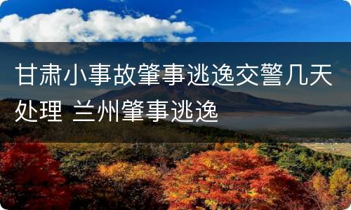 甘肃小事故肇事逃逸交警几天处理 兰州肇事逃逸