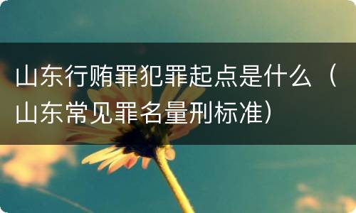 山东行贿罪犯罪起点是什么（山东常见罪名量刑标准）