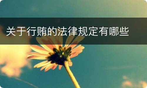 关于行贿的法律规定有哪些