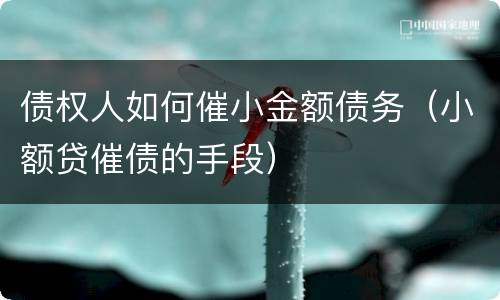 债权人如何催小金额债务（小额贷催债的手段）