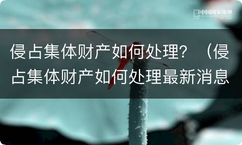 侵占集体财产如何处理？（侵占集体财产如何处理最新消息）