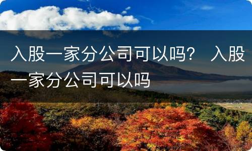 入股一家分公司可以吗？ 入股一家分公司可以吗