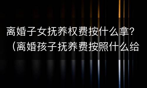 离婚子女抚养权费按什么拿？（离婚孩子抚养费按照什么给）