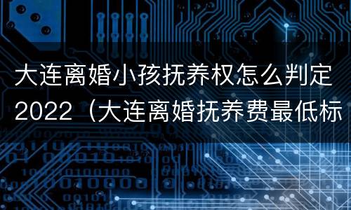 大连离婚小孩抚养权怎么判定2022（大连离婚抚养费最低标准）