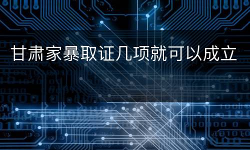 甘肃家暴取证几项就可以成立