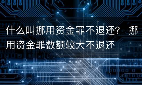什么叫挪用资金罪不退还？ 挪用资金罪数额较大不退还