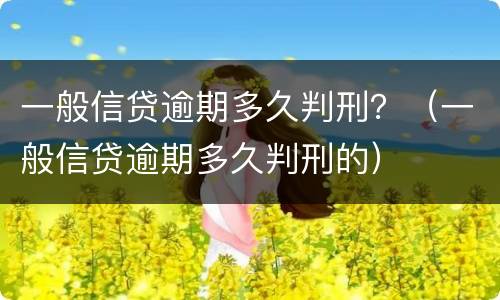 一般信贷逾期多久判刑？（一般信贷逾期多久判刑的）