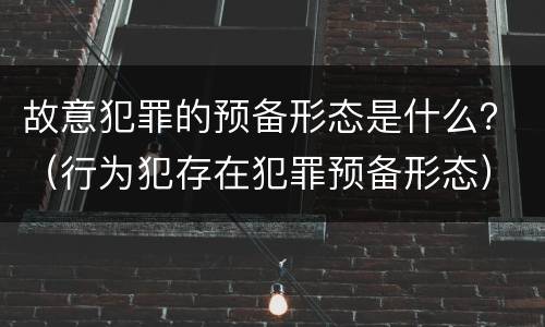 故意犯罪的预备形态是什么？（行为犯存在犯罪预备形态）