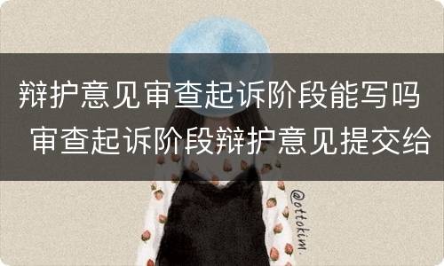 辩护意见审查起诉阶段能写吗 审查起诉阶段辩护意见提交给谁