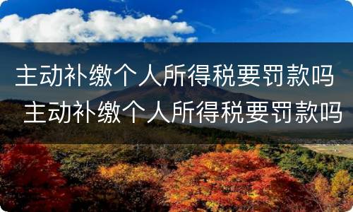 主动补缴个人所得税要罚款吗 主动补缴个人所得税要罚款吗多少