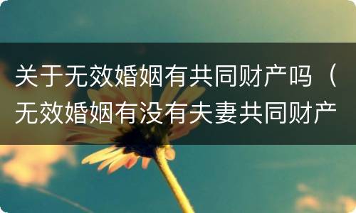 关于无效婚姻有共同财产吗（无效婚姻有没有夫妻共同财产）