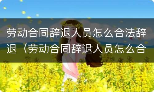 劳动合同辞退人员怎么合法辞退（劳动合同辞退人员怎么合法辞退的）