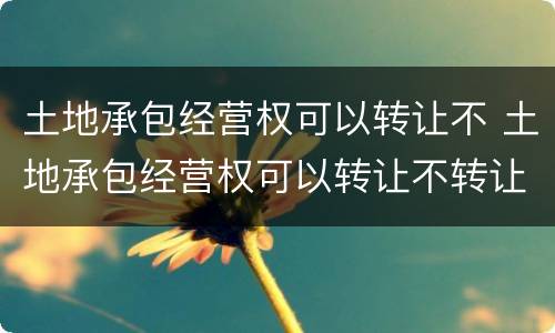 土地承包经营权可以转让不 土地承包经营权可以转让不转让吗