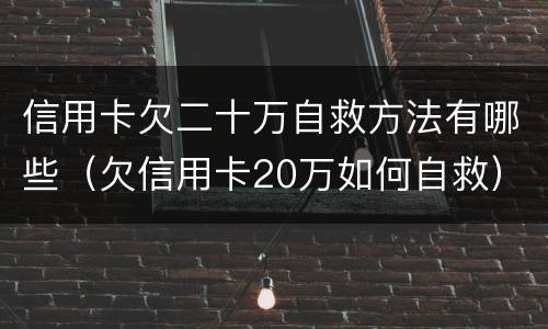 信用卡欠二十万自救方法有哪些（欠信用卡20万如何自救）