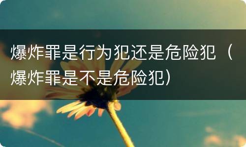 爆炸罪是行为犯还是危险犯（爆炸罪是不是危险犯）