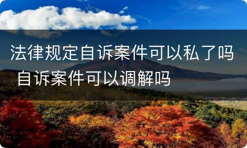 法律规定自诉案件可以私了吗 自诉案件可以调解吗
