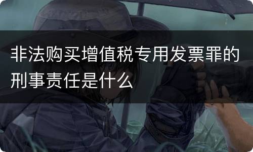非法购买增值税专用发票罪的刑事责任是什么