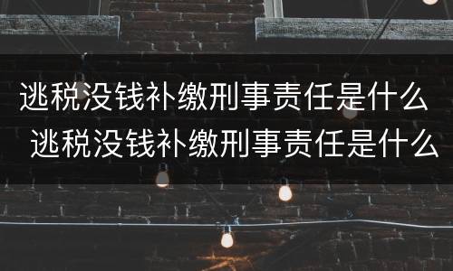 逃税没钱补缴刑事责任是什么 逃税没钱补缴刑事责任是什么罪
