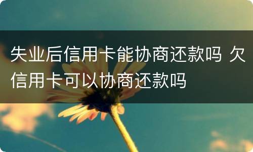 失业后信用卡能协商还款吗 欠信用卡可以协商还款吗