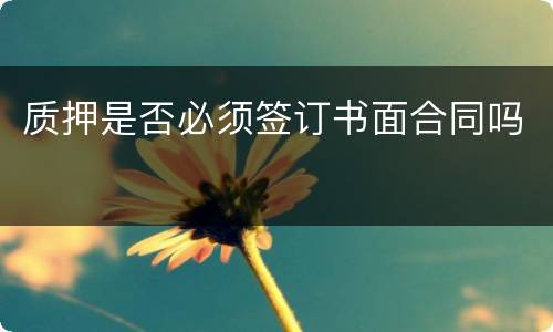 质押是否必须签订书面合同吗