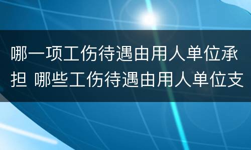 哪一项工伤待遇由用人单位承担 哪些工伤待遇由用人单位支付