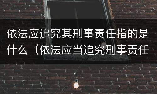 依法应追究其刑事责任指的是什么（依法应当追究刑事责任的应当作出什么决定）