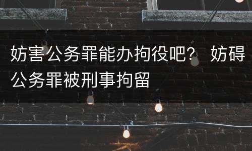 妨害公务罪能办拘役吧？ 妨碍公务罪被刑事拘留